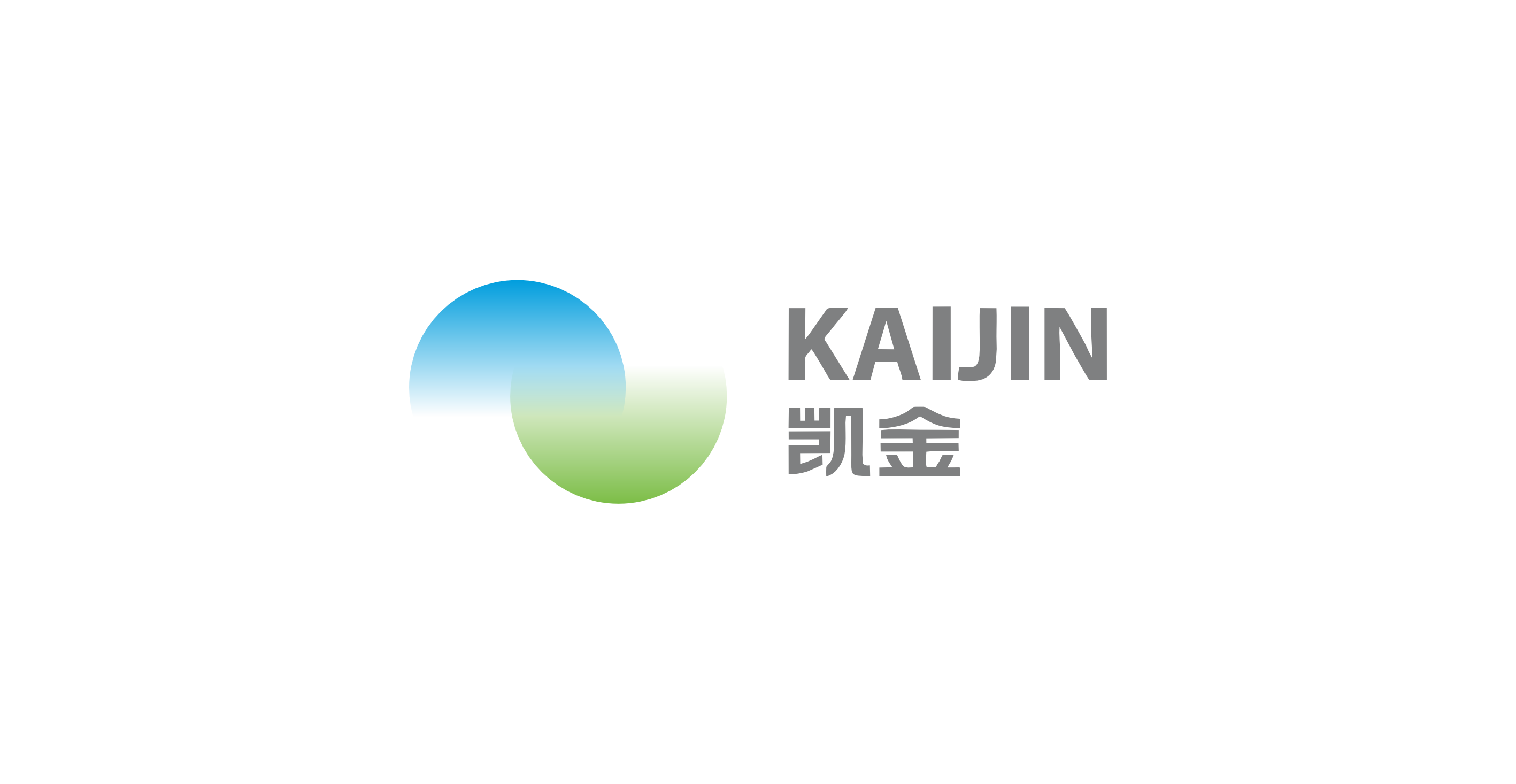 凱金新能源科技有限公司